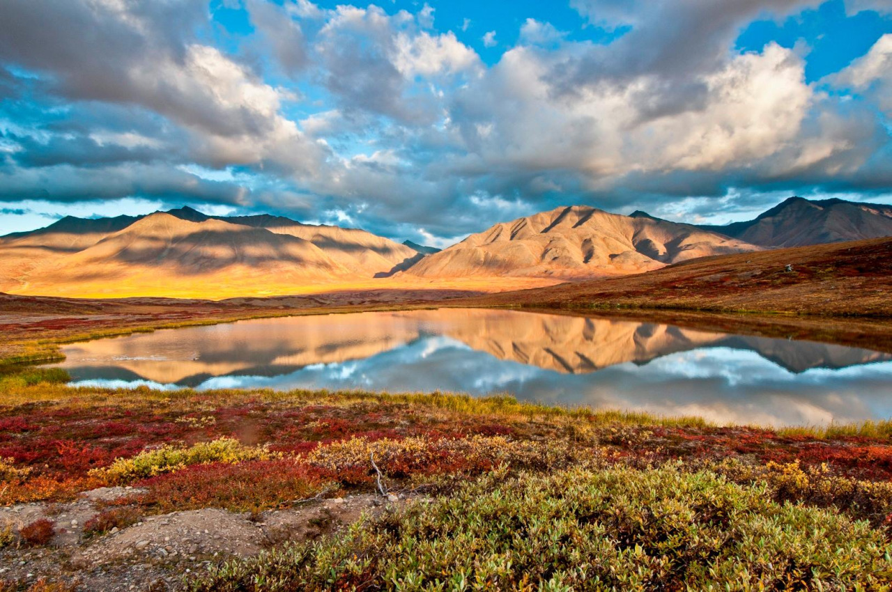 A Pretty Meander | MowryJournal.com